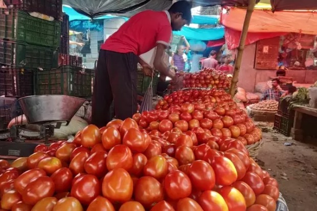 Tomatoes selling below Re 1 per kg in Delhi wholesale markets