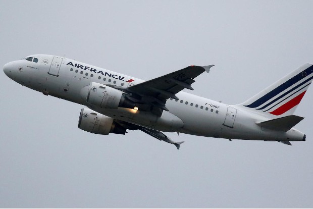 Air France must slash domestic traffic in exchange for state guarantees -minister