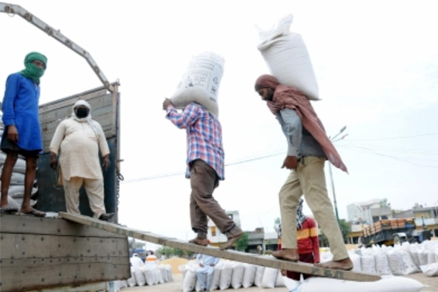 Despite lockdown, wheat procurement surpasses last years figures
