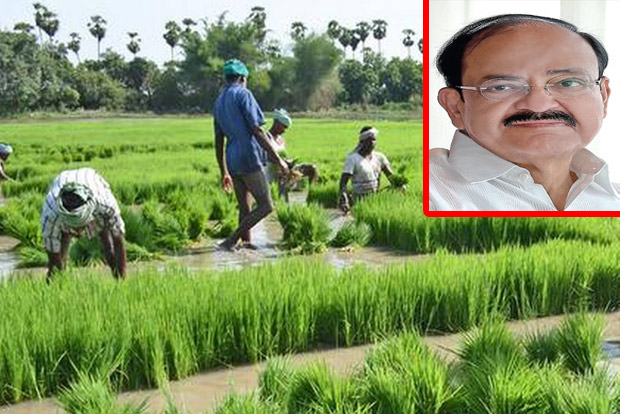 Protecting agri-interests: Freedom for farmers, finally Protecting agri-interests: Freedom for farmers, finally