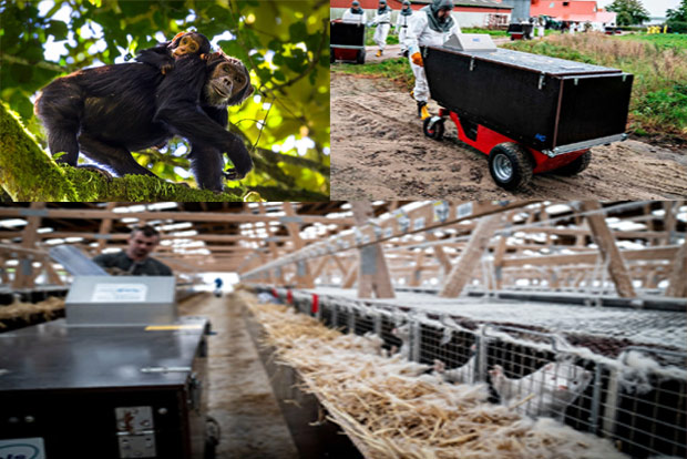 Deepening Crisis: COVID infections in animals prompt scientific concern