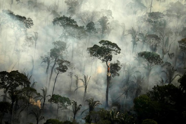 Brazil extends troop deployment in Amazon till April 2021 Brazil extends troop deployment in Amazon till April 2021