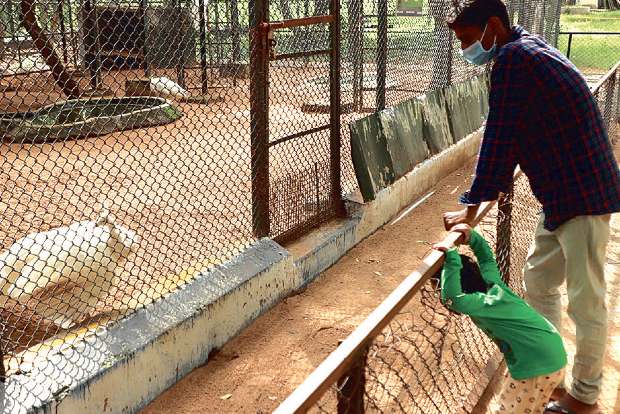 Vandalur zoo, Guindy park officials hope to get more visitors in the coming months