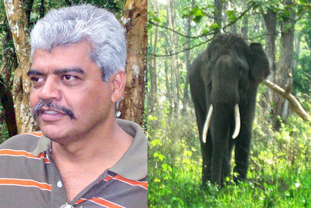 Experts demand early completion of studies on conservation of jumbos Experts demand early completion of studies on conservation of jumbos