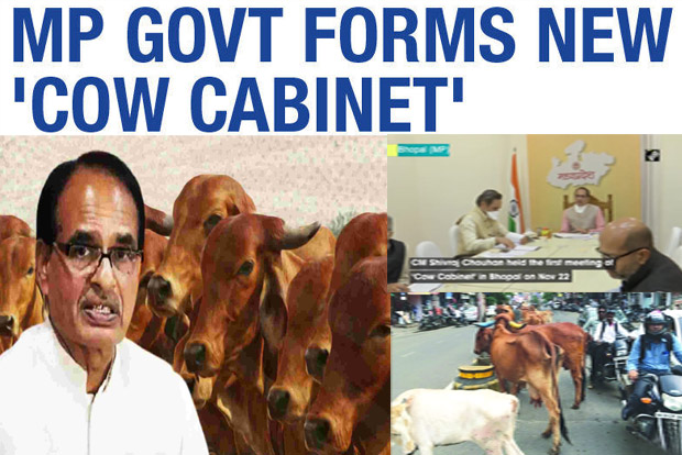 Editorial: Of committees to protect ‘endangered’ species