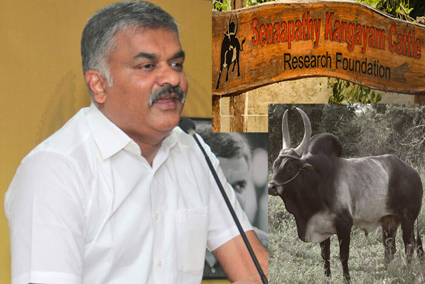 Jallikattu activist Sivasenapathy vows to help DMK make inroads in west Tamil Nadu