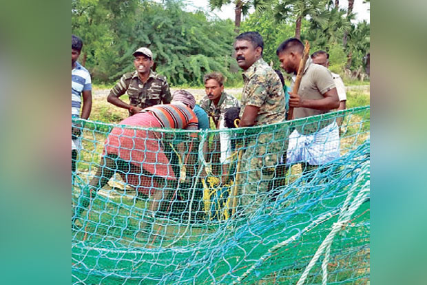 Sloth bear rescued from farm, released into Kalakkad forest