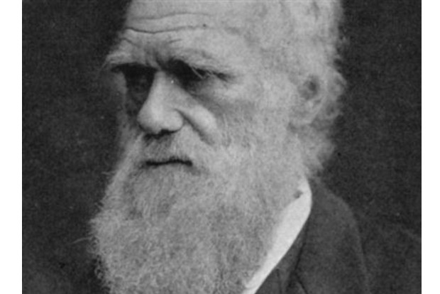 Darwin notebooks reported stolen from Cambridge library
