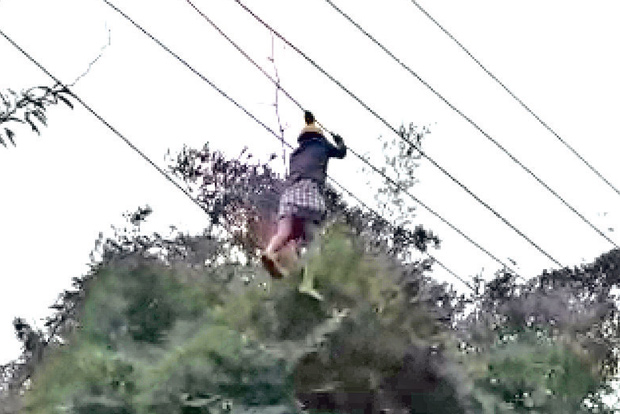 EB worker walks on power lines to remove fallen trees EB worker walks on power lines to remove fallen trees