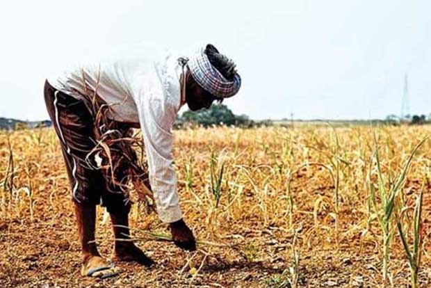 New agri laws will uplift farmers’ lives, assures BJP farmers wing chief