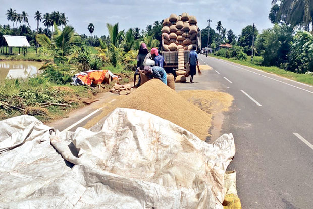 Govt misses date on procurement of paddy, disappoints delta farmers