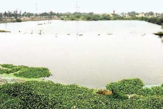 Restoration over, Corpn to ink PPP to maintain Villivakkam lake