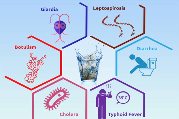 Lockdown and better awareness bring down typhoid cases by half