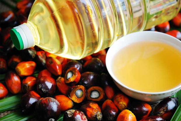 Palm oil imports slump 27 pc, lowest in three months: Trade body