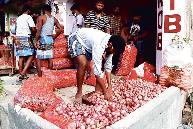 Govt takes rearguard action as onion price threatens to spiral out of control