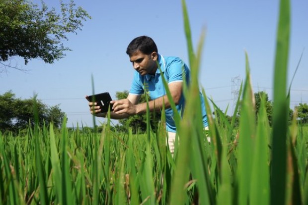 With Microsoft Cloud, CropData helping Indian farmers earn better