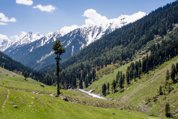 Govt paves way for all Indians to buy land in J-K Govt paves way for all Indians to buy land in J-K