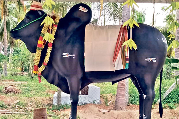 Farmer erects statue for beloved and prized jallikattu Kangayam bull in Tirupur