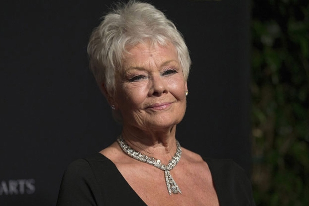 Dame Judi Dench hates being called a national treasure Dame Judi Dench hates being called a national treasure