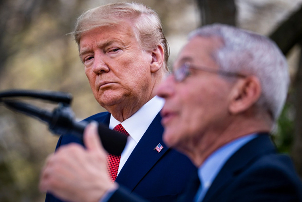 Could another leader have saved more lives?