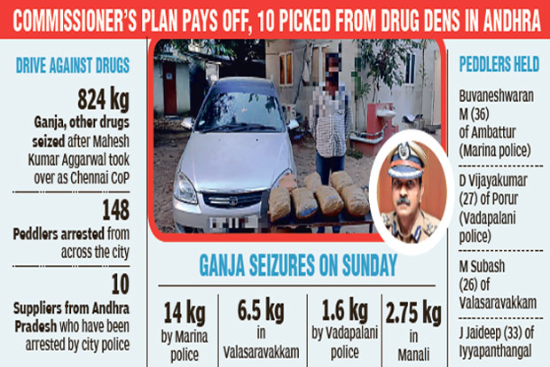 Weed ’em out, City cops get to root of it