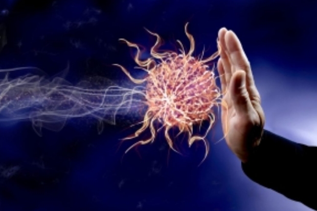 CISH ready with grafted plants, rich in immunity boosting CISH ready with grafted plants, rich in immunity boosting