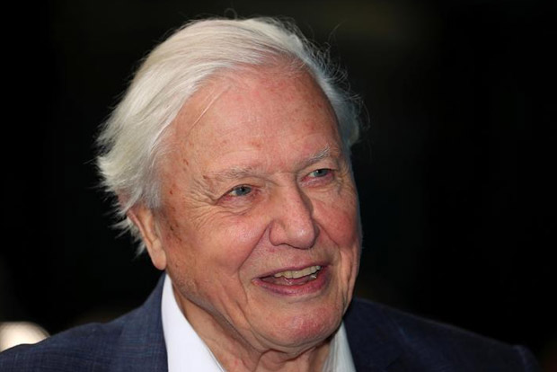 British broadcaster David Attenborough gets Indira Gandhi Peace prize