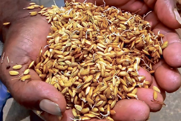 Issues with traders, middlemen continue: Farmers