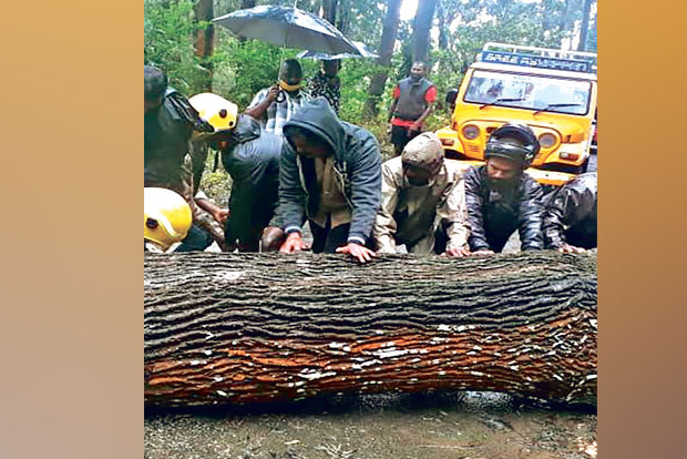 Incessant rains disrupt normalcy in The Nilgiris