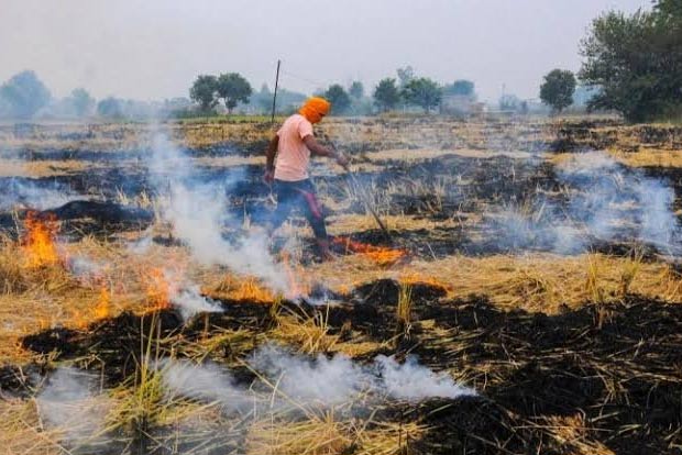 Delhi air to worsen in next 3 days, thanks to stubble burning