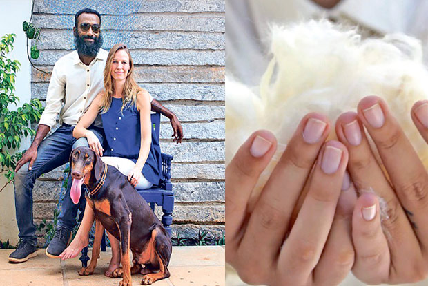TN entrepreneur creates vegan wool from wild shrubs TN entrepreneur creates vegan wool from wild shrubs