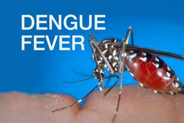 Vector-borne diseases in Tamil Nadu dip this year