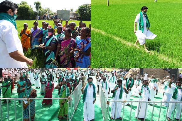 DMK, allies protest against farm laws, Stalin says ready to go to court