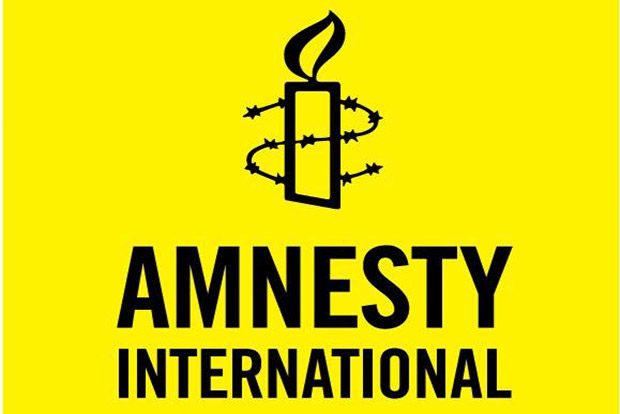Rights group Amnesty halts India operations, says facing witch-hunt