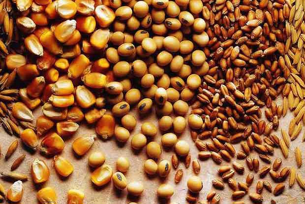 Specially formulated food to bridge nutrition gaps