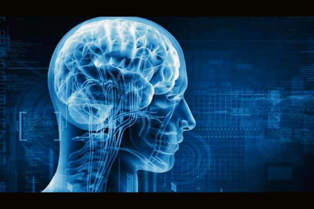 Tracking receptor proteins can unveil molecular basis of memory, learning: Study