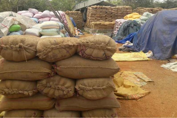 Paddy bags in Nellai temple stirs social media storm