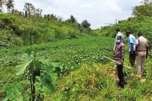 Search on for croc spotted in Kovai neighbourhood