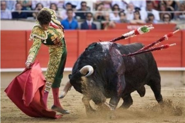 Madrid to host charity bullfight for matadors left jobless by COVID-19