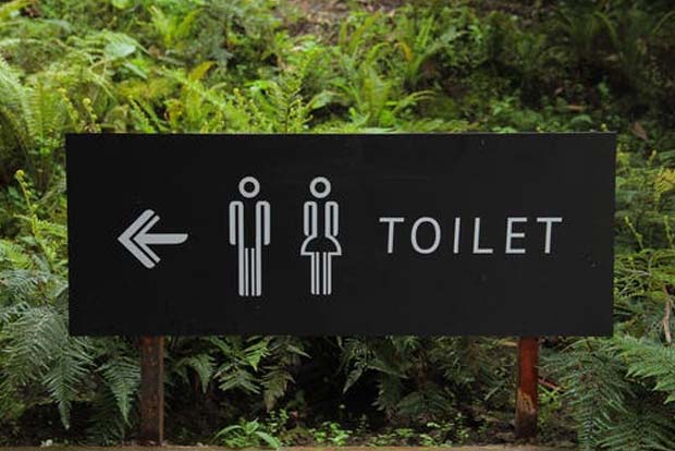 Flushing public toilets propels Covid virus 5 feet up in air