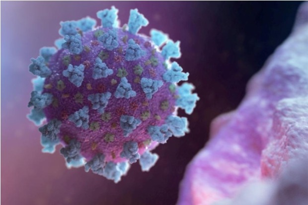 Double and triple mutants of coronavirus one and the same, vaccines effective on it: Scientist