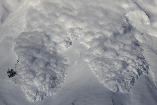 Eight dead, 31 missing in avalanche in Uttarakhands Chamoli