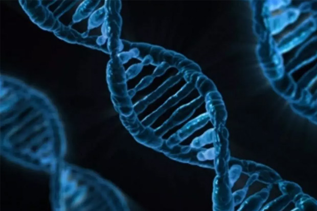 Wound healing, infection can be determined by genetics