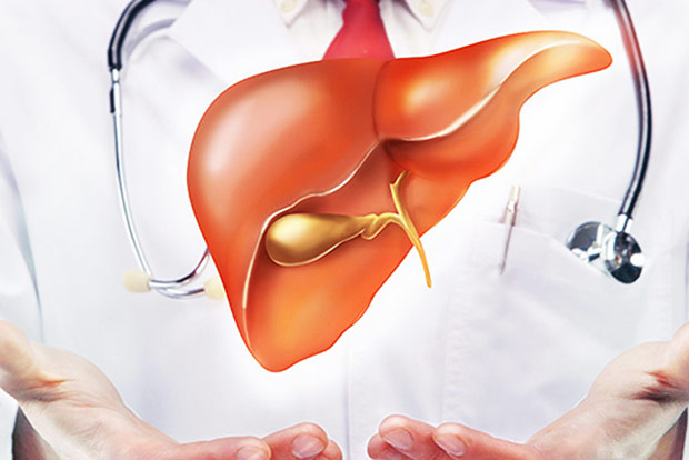 A fatty liver can be dangerous to your heart