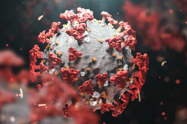 Indian strain of coronavirus found in 17 countries: WHO