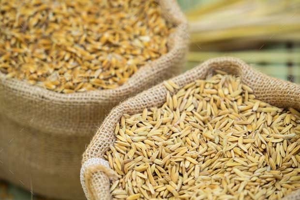 Over 100 lakh tonne wheat procured in Punjab so far
