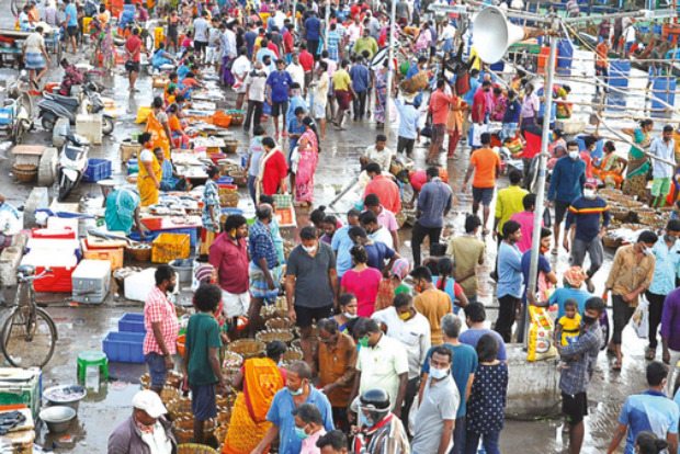 Seafood price falls by 20pc at Kasimedu market this weekend