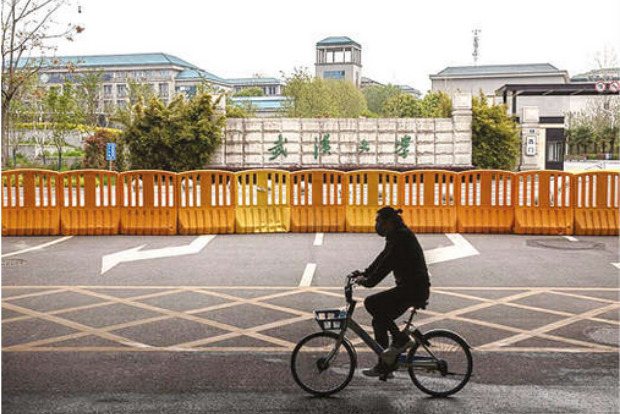 A Deepening Mystery:  Virus sequences that disappeared are back