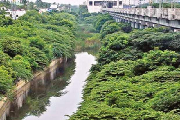 PWD to begin Rs 1,000 cr eco-restoration project of Buckingham Canal by end of ‘21