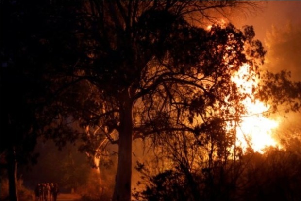 Blaze ravages Evia island on sixth day of Greek wildfires